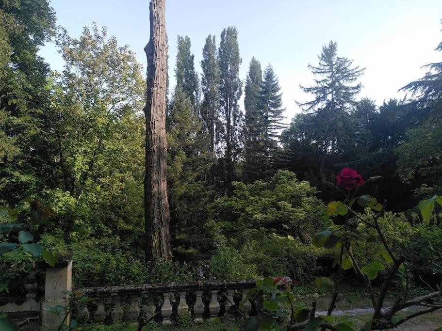 Magnifiques Ecuries Juste Renovees - Domaine De La Mulotiere Vila Langeais Exterior foto